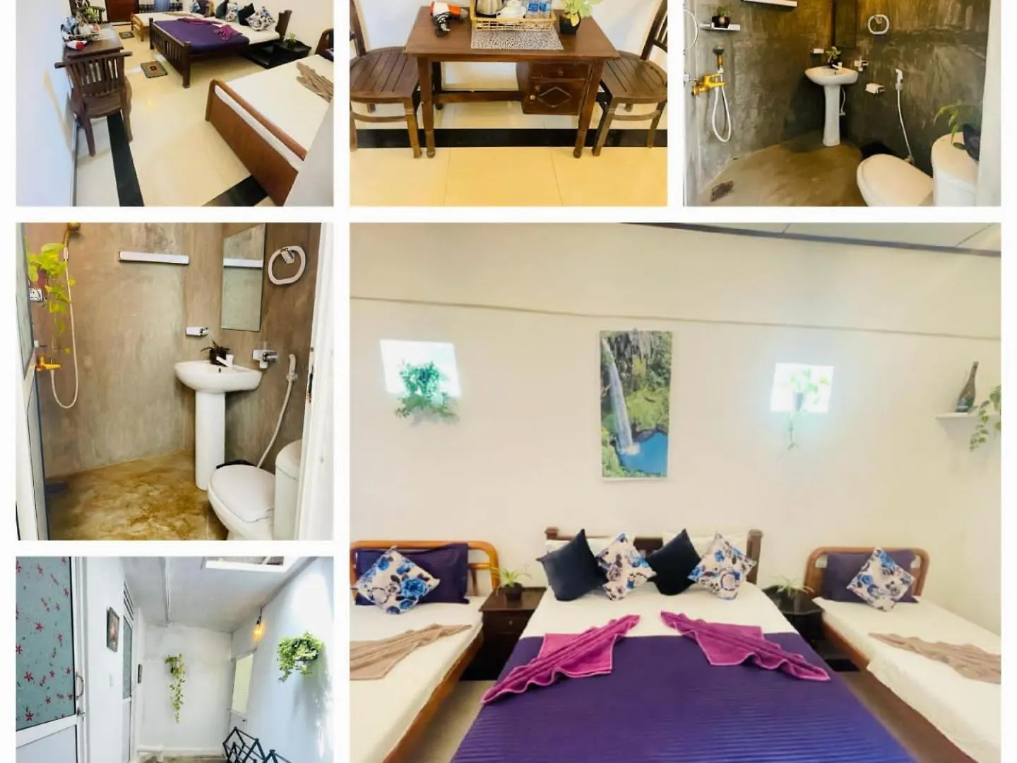 Winston Sea Front Villa Негомбо 0*,  Шри-Ланка